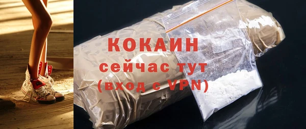 индика Гусев