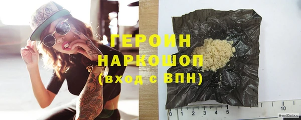 индика Гусев