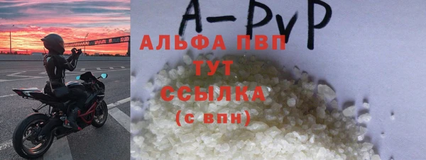 индика Гусев