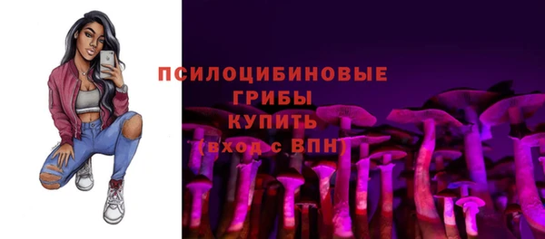 PSILOCYBIN Горняк