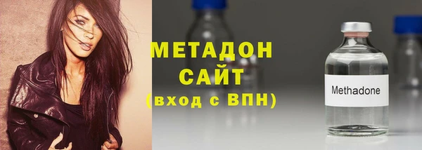 индика Гусев