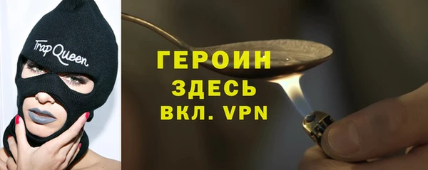 индика Гусев