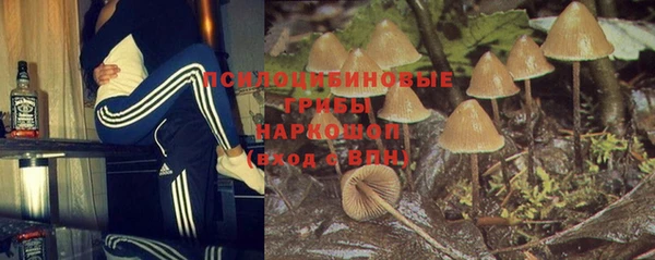 марки nbome Горнозаводск