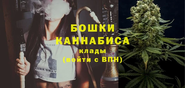 мдпв Гусь-Хрустальный