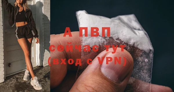 мдпв Гусь-Хрустальный
