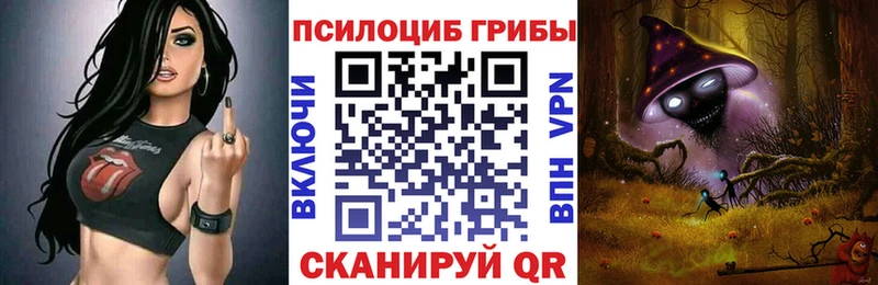 Псилоцибиновые грибы Cubensis  Ефремов 